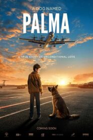 Palma (2021) Sinhala Subtitle | සිංහල උපසිරැසි සමඟ