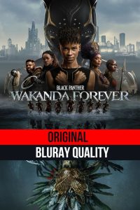 Black Panther: Wakanda Forever (2022) Sinhala Subtitles | සිංහල උපසිරැසි සමඟ | Original BluRay Quality
