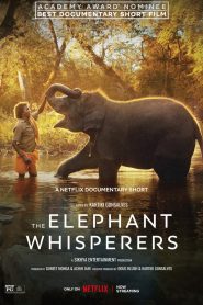 The Elephant Whisperers (2022) Sinhala Subtitles | සිංහල උපසිරැසි සමඟ