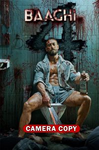 Baaghi 4 (2025) Sinhala Subtitles | සිංහල උපසිරැසි සමඟ