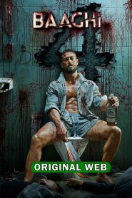 Baaghi 4 (2025) Sinhala Subtitles  | සිංහල උපසිරැසි සමඟ